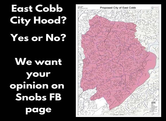 East Cobb cityhood